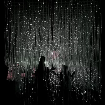 LIGHT-VINES